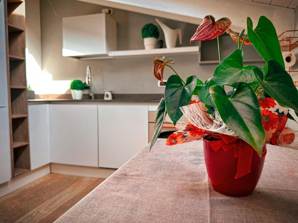 Accogliente Mansarda In Centro Storico Apartment Ravenna Ngoại thất bức ảnh