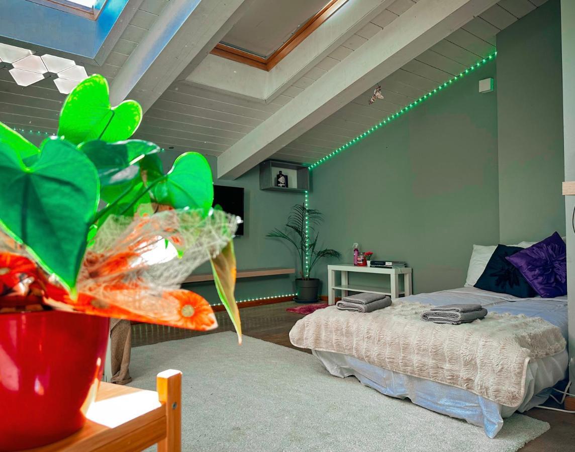 Accogliente Mansarda In Centro Storico Apartment Ravenna Ngoại thất bức ảnh
